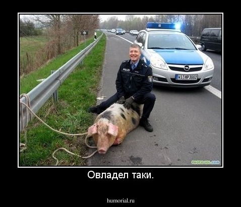 Овладел таки.