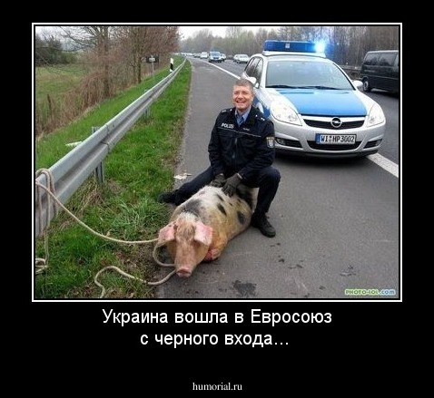 Украина вошла в Евросоюз с черного входа... 
