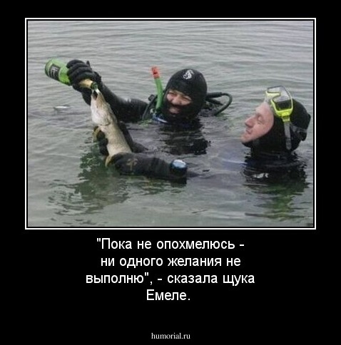 "Пока не опохмелюсь - ни одного желания не выполню", - сказала щука Емеле.