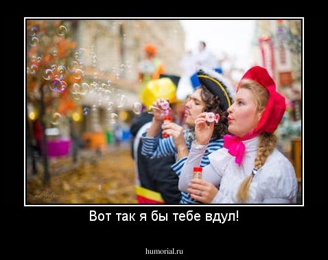 Вот так я бы тебе вдул!