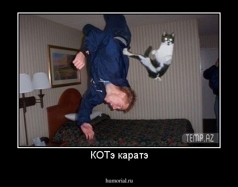 КОТэ каратэ