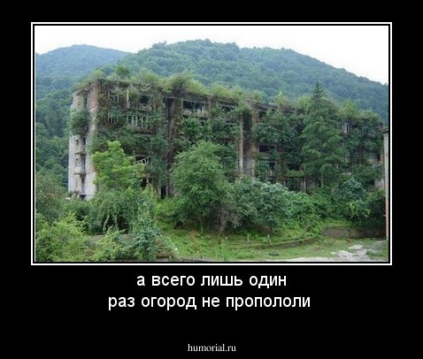 а всего лишь один раз огород не пропололи