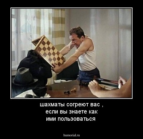 шахматы согреют вас , если вы знаете как  ими пользоваться