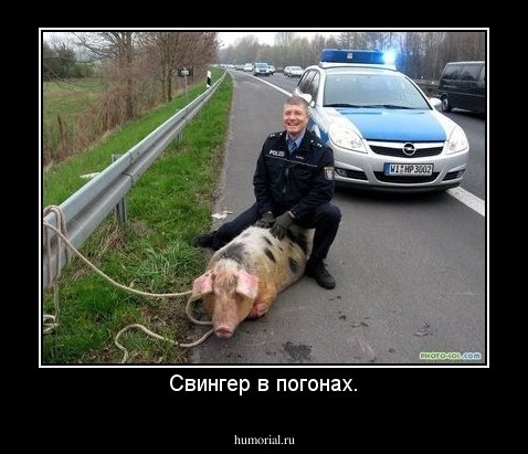 Свингер в погонах.