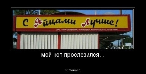 мой кот прослезился...