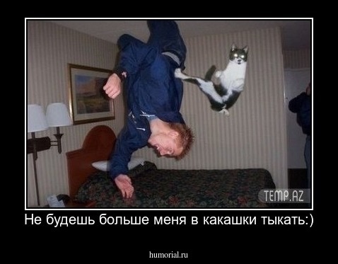 Не будешь больше меня в какашки тыкать:)