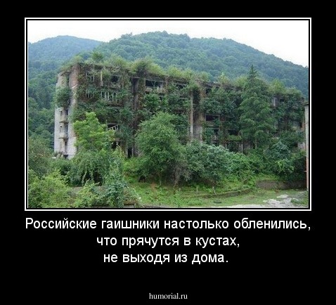 Российские гаишники настолько обленились, что прячутся в кустах, не выходя из дома.