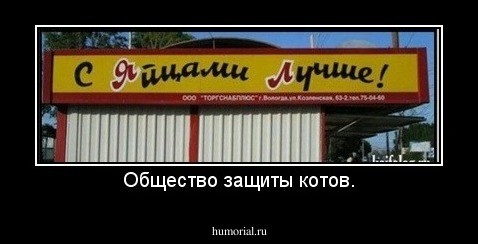 Общество защиты котов.