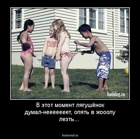 В этот момент лягушёнок думал-нееееееет, опять в жооопу лезть...
