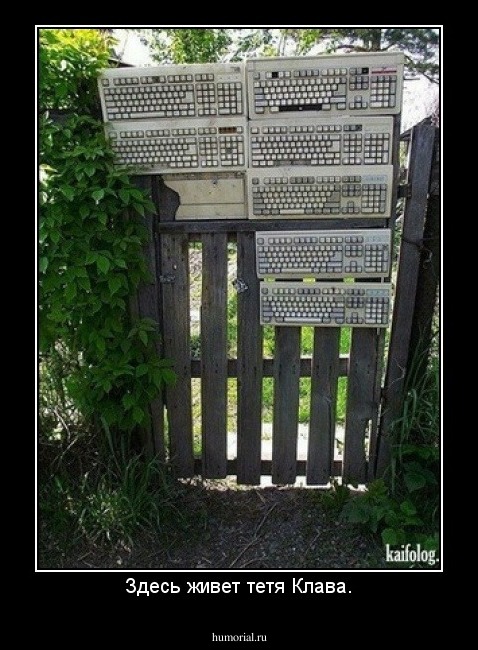 Здесь живет тетя Клава.