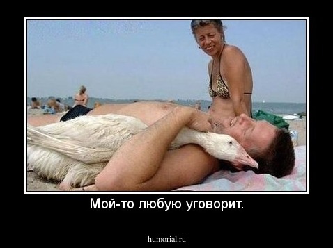 Мой-то любую уговорит.