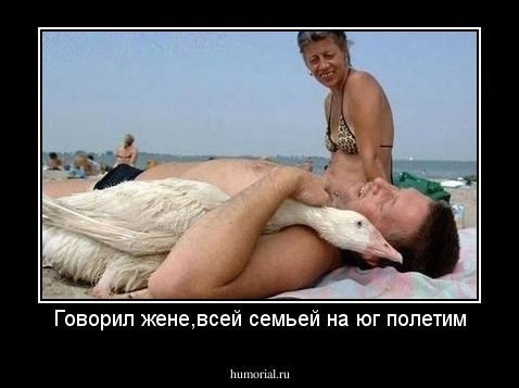 Говорил жене,всей семьей на юг полетим
