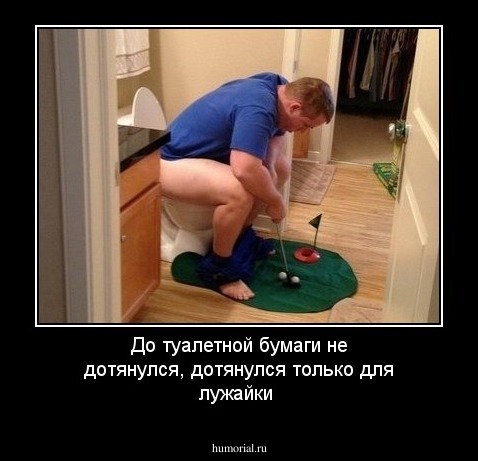 До туалетной бумаги не дотянулся, дотянулся только для лужайки