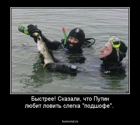 Быстрее! Сказали, что Путин любит ловить слегка "подшофе".