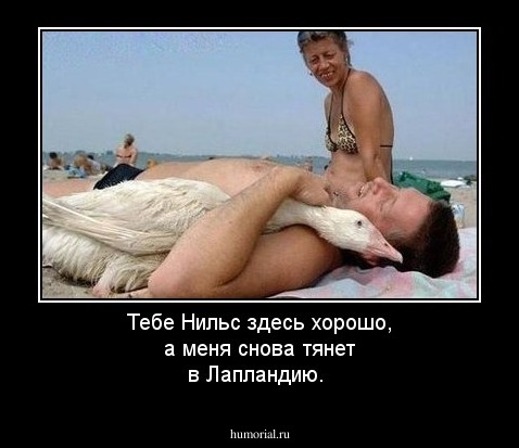Тебе Нильс здесь хорошо, а меня снова тянет в Лапландию.
