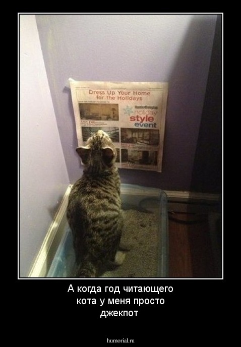 А когда год читающего кота у меня просто джекпот