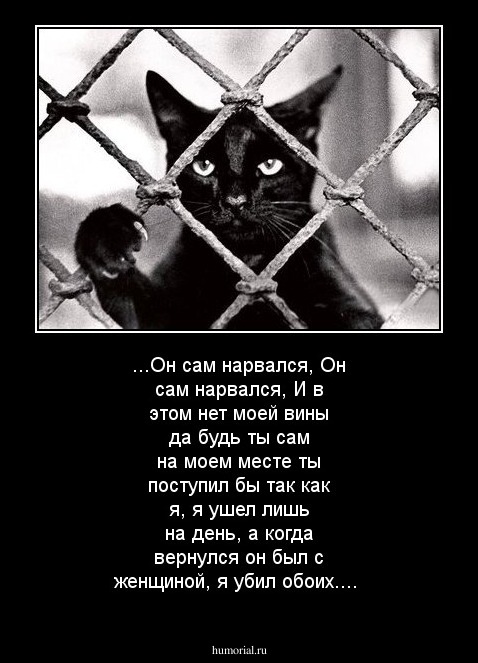  ...Он сам нарвался, Он сам нарвался, И в этом нет моей вины да будь ты сам на моем месте ты поступил бы так как я, я ушел лишь на день, а когда вернулся он был с женщиной, я убил обоих....