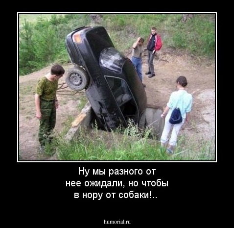 Ну мы разного от нее ожидали, но чтобы в нору от собаки!..