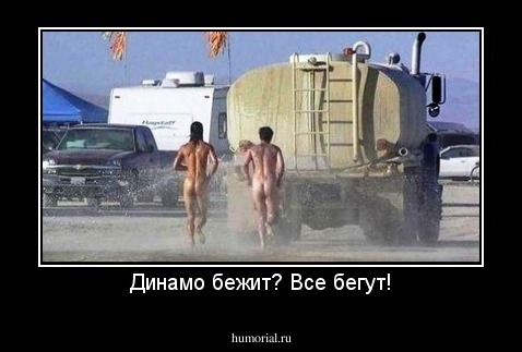 Динамо бежит? Все бегут!