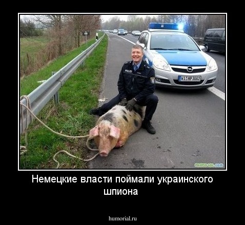Немецкие власти поймали украинского шпиона