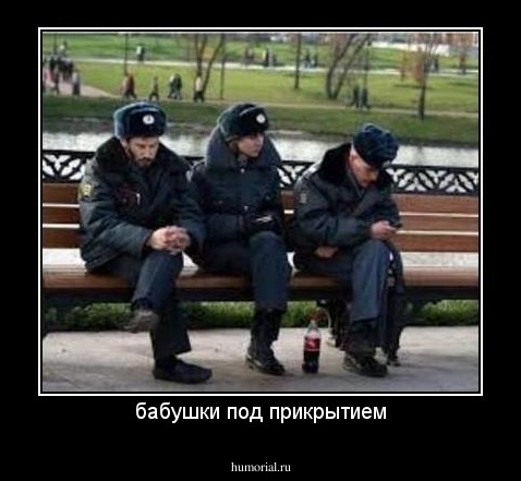 бабушки под прикрытием