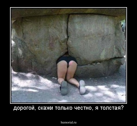 дорогой, скажи только честно, я толстая?