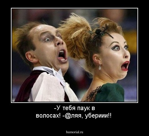 -У тебя паук в волосах!
-@ляя, убериии!!