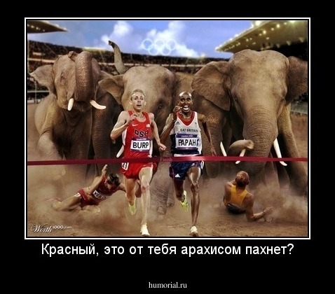 Красный, это от тебя арахисом пахнет?
