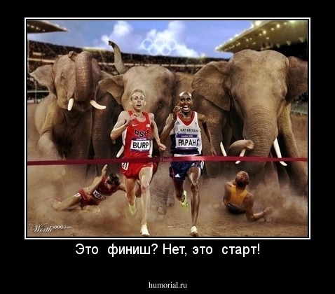 Это  финиш? Нет, это  старт!