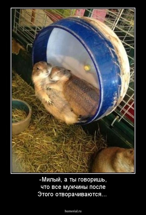 -Милый, а ты говоришь, что все мужчины после Этого отворачиваются... 