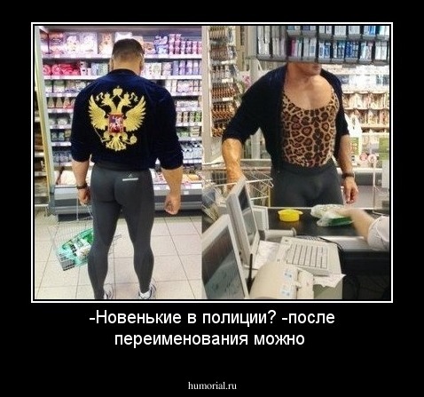 -Новенькие в полиции? -после переименования можно