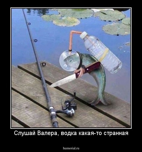 Слушай Валера, водка какая-то странная