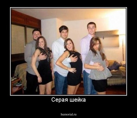 Серая шейка