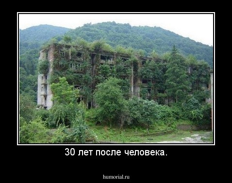 30 лет после человека.