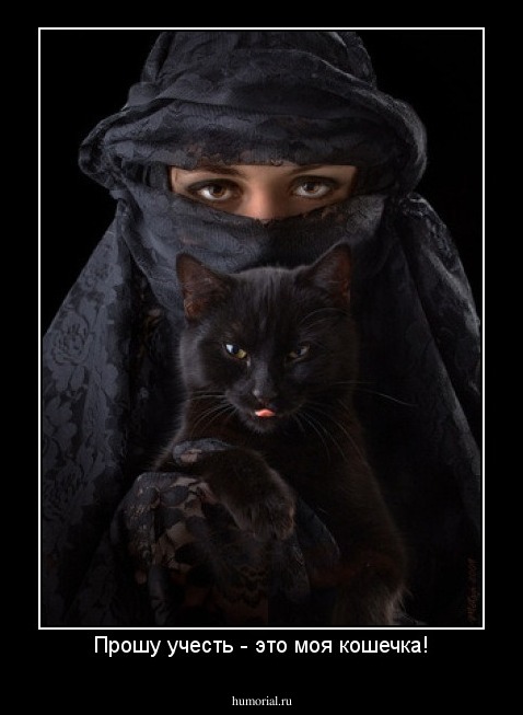 Прошу учесть - это моя кошечка!