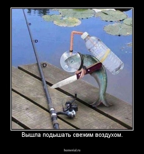 Вышла подышать свежим воздухом.