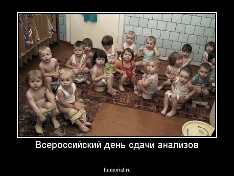Всероссийский день сдачи анализов
