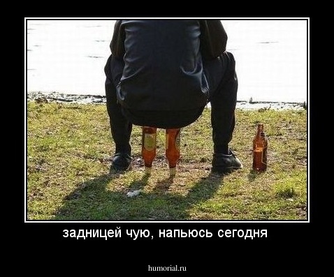 задницей чую, напьюсь сегодня 