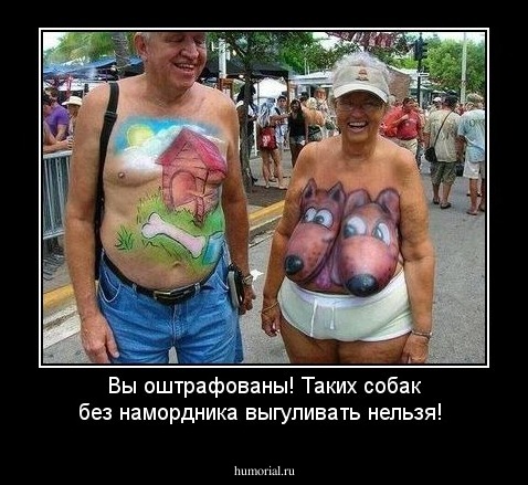 Вы оштрафованы! Таких собак без намордника выгуливать нельзя!