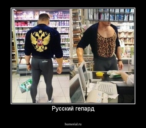 Русский гепард
