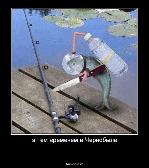а тем временем в Чернобыле

