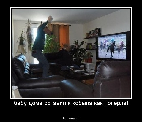 бабу дома оставил и кобыла как поперла!