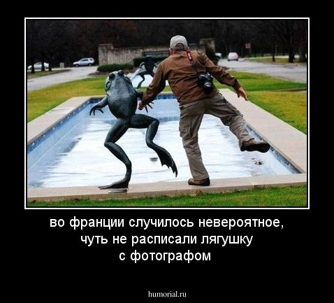 во франции случилось невероятное, чуть не расписали лягушку с фотографом
