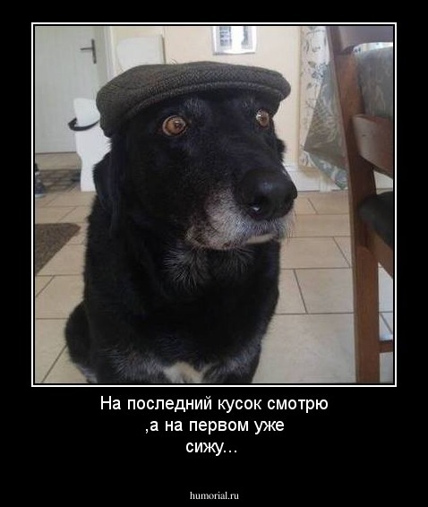 На последний кусок смотрю ,а на первом уже сижу...