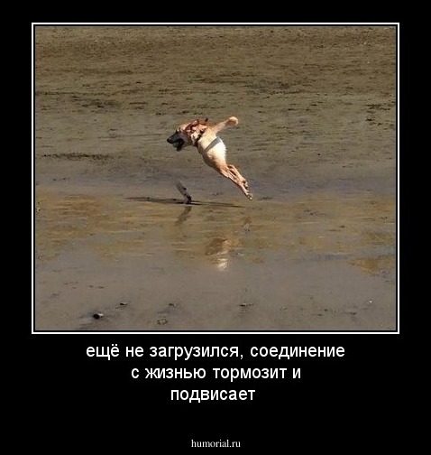 ещё не загрузился, соединение с жизнью тормозит и подвисает