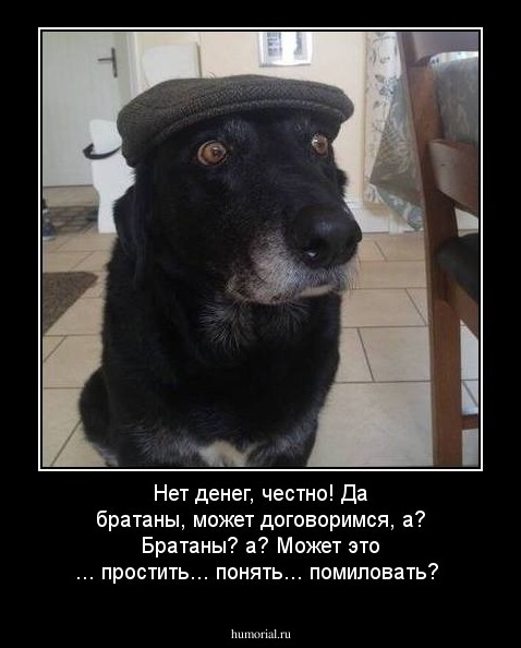 Нет денег, честно! Да братаны, может договоримся, а? Братаны? а?  Может это ... простить... понять... помиловать?