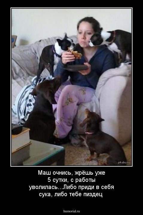 Маш очнись, жрёшь уже 5 сутки, с работы уволилась...Либо приди в себя сука, либо тебе пиздец 