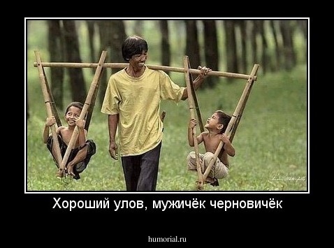 Хороший улов, мужичёк черновичёк