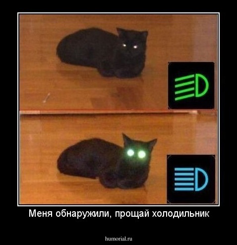 Меня обнаружили, прощай холодильник
