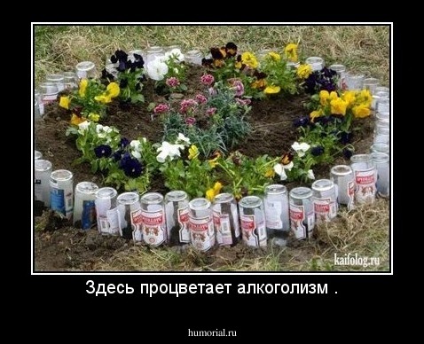 Здесь процветает алкоголизм .